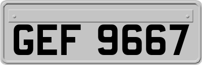 GEF9667