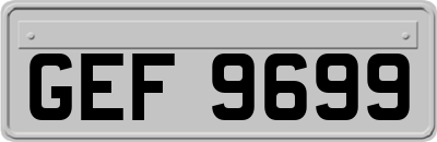 GEF9699