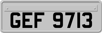 GEF9713