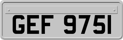 GEF9751