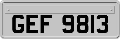 GEF9813