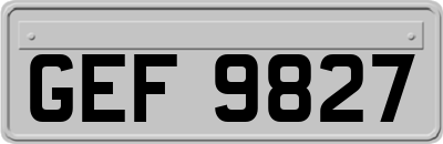GEF9827