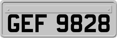 GEF9828