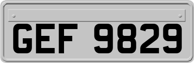 GEF9829