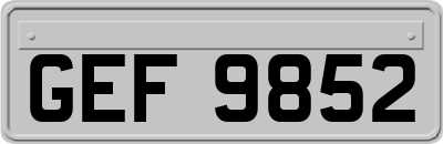 GEF9852