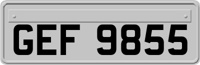 GEF9855