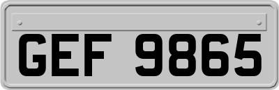 GEF9865