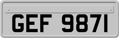 GEF9871