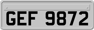 GEF9872