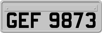 GEF9873