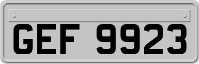 GEF9923