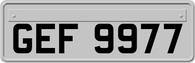 GEF9977