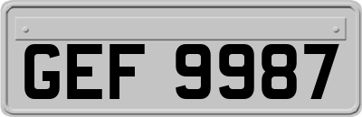 GEF9987