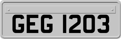 GEG1203