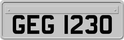 GEG1230