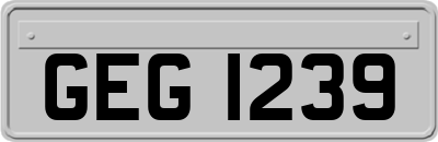 GEG1239