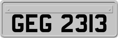 GEG2313