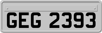 GEG2393