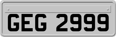 GEG2999
