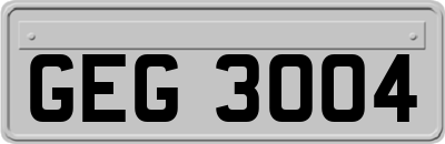 GEG3004