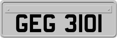 GEG3101