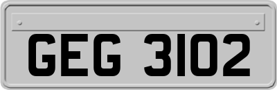 GEG3102