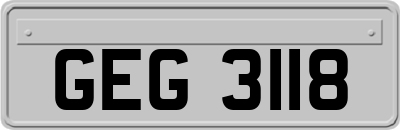 GEG3118