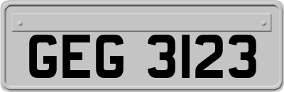 GEG3123
