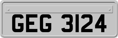 GEG3124