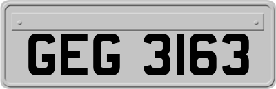 GEG3163