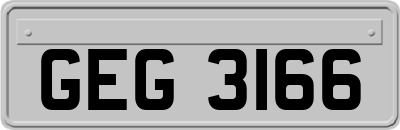 GEG3166