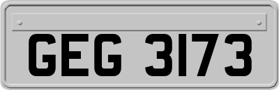 GEG3173