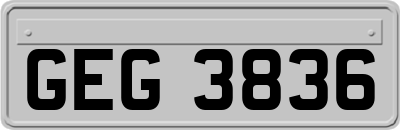 GEG3836