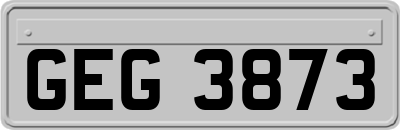 GEG3873