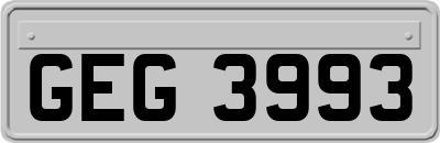 GEG3993