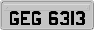 GEG6313