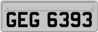 GEG6393