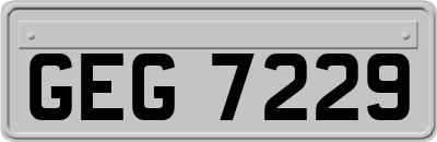 GEG7229