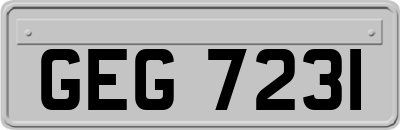 GEG7231