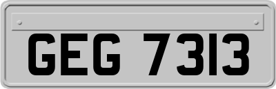 GEG7313