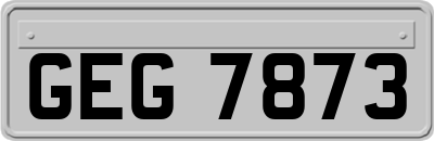 GEG7873