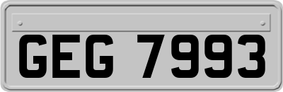 GEG7993