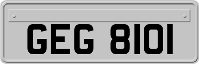 GEG8101