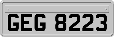 GEG8223