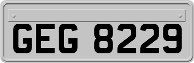 GEG8229