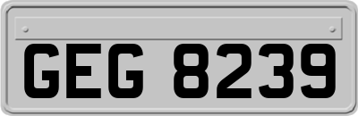 GEG8239