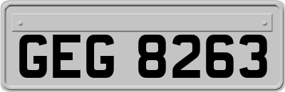 GEG8263