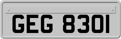 GEG8301