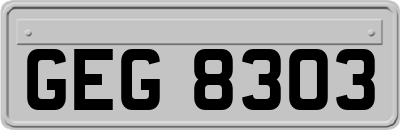 GEG8303