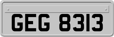 GEG8313